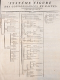 featured image thumbnail for post Аннотация: статья про Tree structure (Древовидная структура) на Википедии